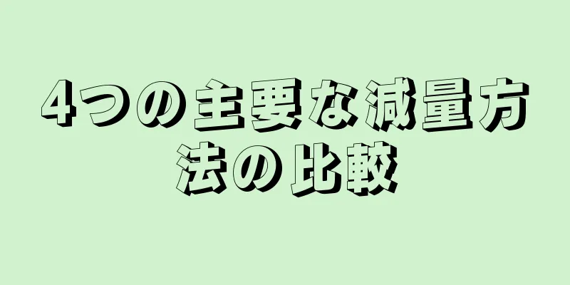 4つの主要な減量方法の比較