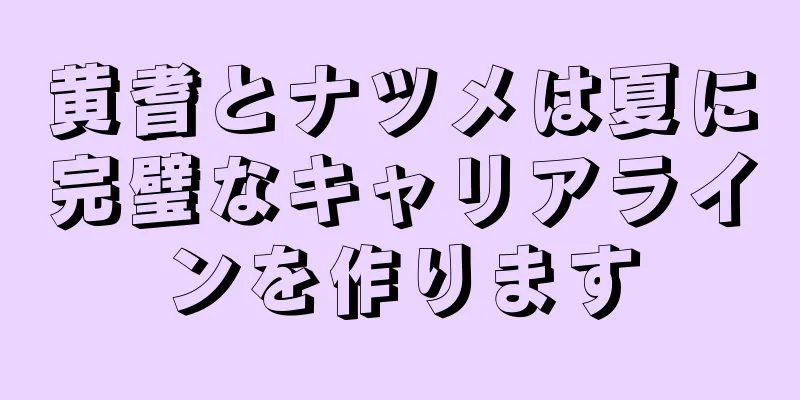 黄耆とナツメは夏に完璧なキャリアラインを作ります