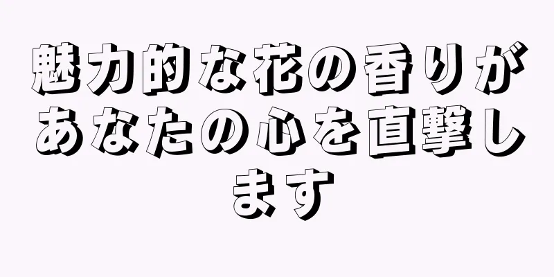 魅力的な花の香りがあなたの心を直撃します