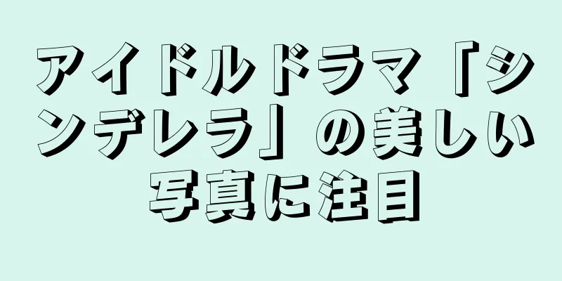 アイドルドラマ「シンデレラ」の美しい写真に注目