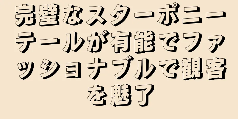 完璧なスターポニーテールが有能でファッショナブルで観客を魅了