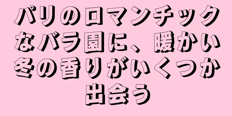 パリのロマンチックなバラ園に、暖かい冬の香りがいくつか出会う