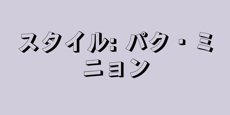 スタイル: パク・ミニョン