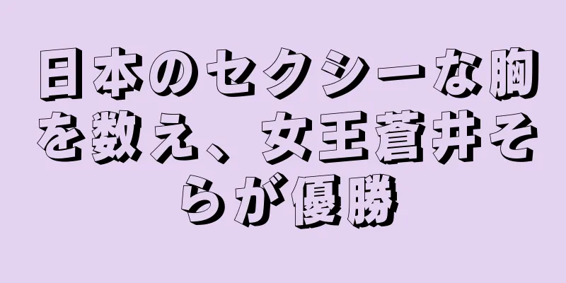 日本のセクシーな胸を数え、女王蒼井そらが優勝