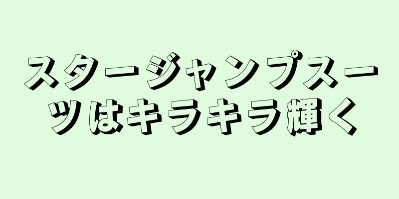 スタージャンプスーツはキラキラ輝く