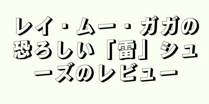 レイ・ムー・ガガの恐ろしい「雷」シューズのレビュー