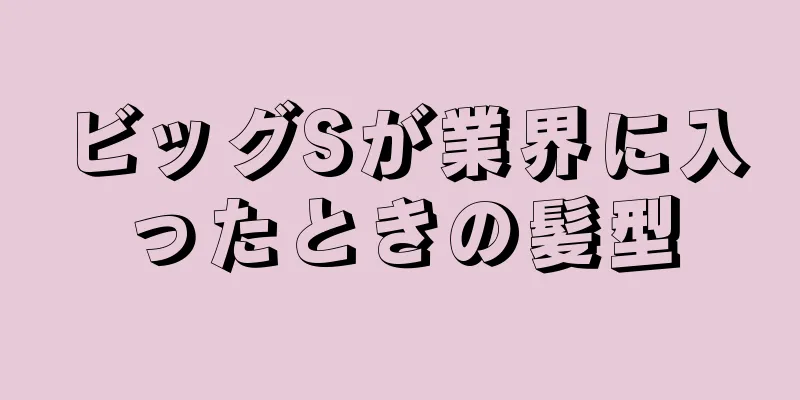 ビッグSが業界に入ったときの髪型