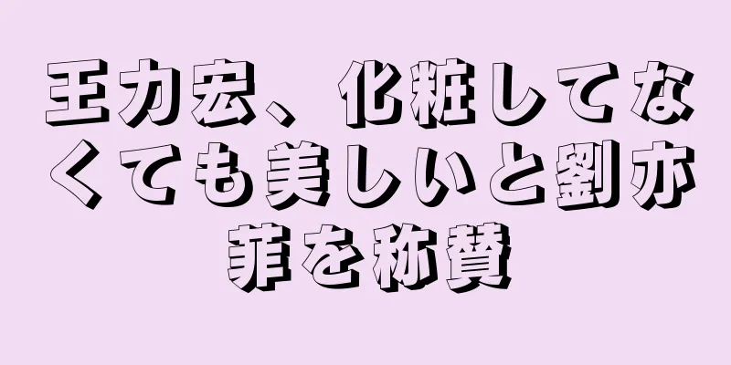 王力宏、化粧してなくても美しいと劉亦菲を称賛