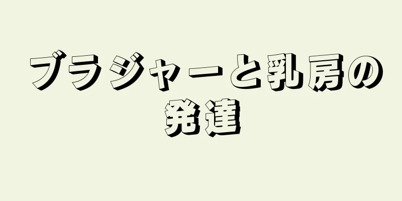 ブラジャーと乳房の発達